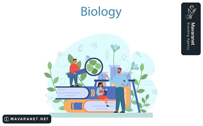 هزینه طراحی سایت بیولوژی در سال 1404 چقدر است؟